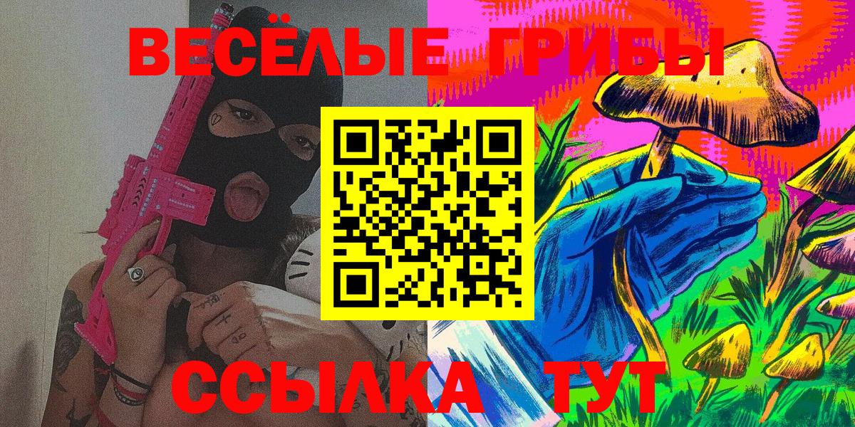 Копейск  Псилоцибиновые грибы Psilocybine cubensis  Вход с VPN 